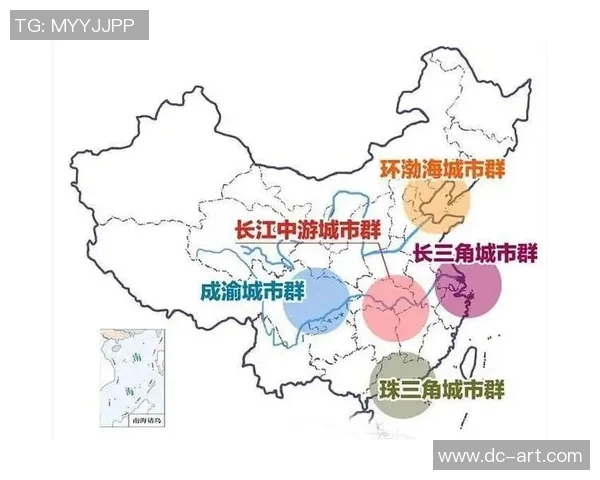 深圳排球队的转型升级之路探索与未来发展展望